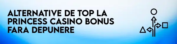 alternative bonus fara depunere princess casino