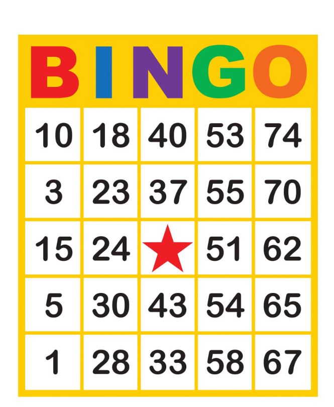 bingo bilet