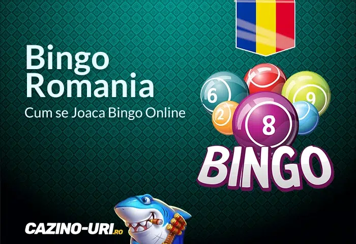 bingo romania cum se joaca bingo online