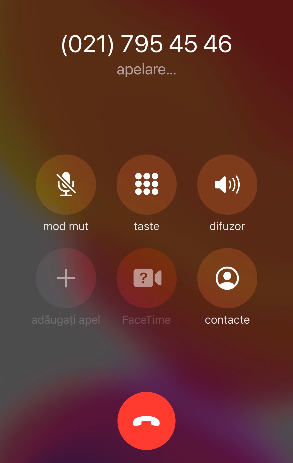 telefon maxbet